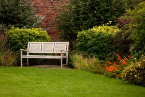 Improving Your Garden: Redesigning the Space Improving Your Garden: Redesigning the Space
